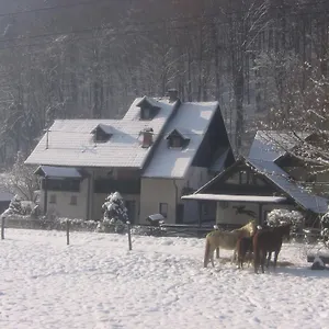 https://apartments-gubanec.hotels-in-ljubljana.com